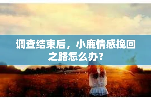 调查结束后，小鹿情感挽回之路怎么办？