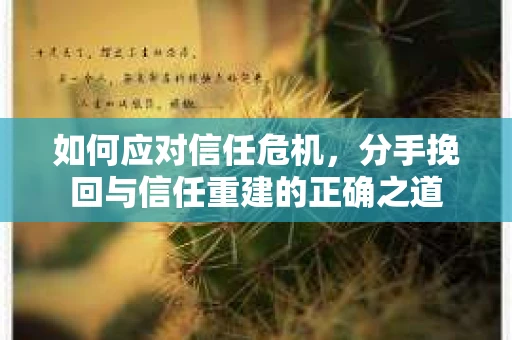 如何应对信任危机，分手挽回与信任重建的正确之道