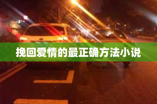 挽回爱情的最正确方法小说