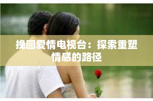 挽回爱情电视台：探索重塑情感的路径