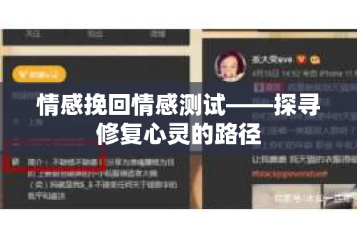 情感挽回情感测试——探寻修复心灵的路径