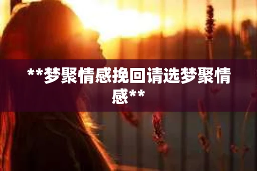 **梦聚情感挽回请选梦聚情感**