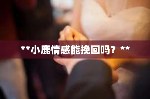 **小鹿情感能挽回吗？**
