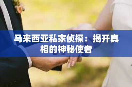 马来西亚私家侦探：揭开真相的神秘使者