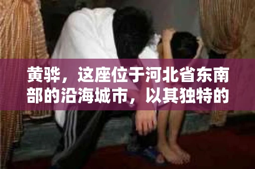 黄骅，这座位于河北省东南部的沿海城市，以其独特的地理位置和丰富的历史文化而闻名。然而，在这座城市中，还有一群人，他们以另一种方式默默守护着社会的公平与正义——私家侦探。今天，我们就来聊聊黄骅的私家侦探，看看他们是如何在这个城市中发挥作用的。