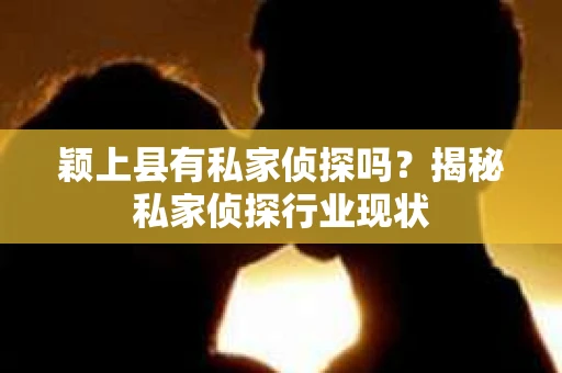 颖上县有私家侦探吗？揭秘私家侦探行业现状