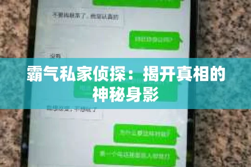 霸气私家侦探：揭开真相的神秘身影