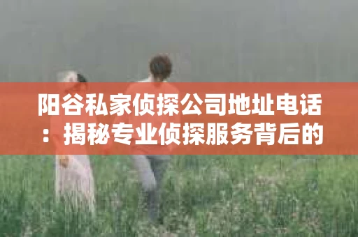阳谷私家侦探公司地址电话：揭秘专业侦探服务背后的故事
