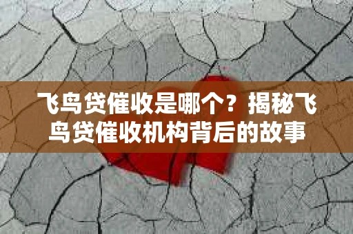 飞鸟贷催收是哪个？揭秘飞鸟贷催收机构背后的故事
