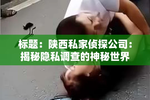 标题：陕西私家侦探公司：揭秘隐私调查的神秘世界