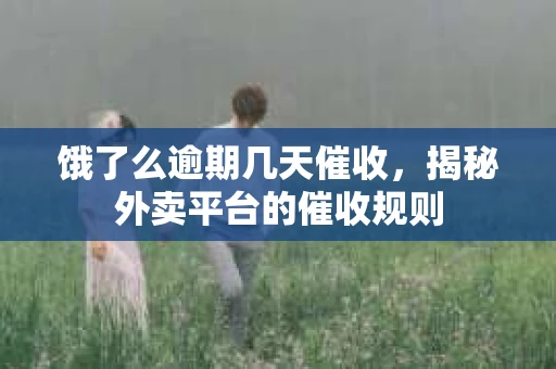饿了么逾期几天催收，揭秘外卖平台的催收规则