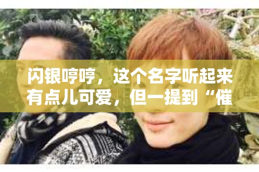 闪银哼哼，这个名字听起来有点儿可爱，但一提到“催收”，气氛就变得严肃起来。今天，我们就来聊聊这个话题，揭开“闪银哼哼催收”的神秘面纱。