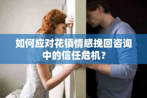 如何应对花镇情感挽回咨询中的信任危机？