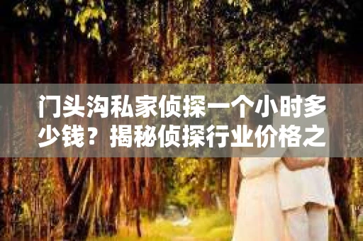 门头沟私家侦探一个小时多少钱？揭秘侦探行业价格之谜