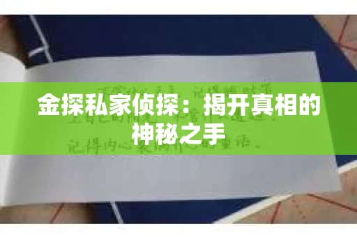 金探私家侦探：揭开真相的神秘之手