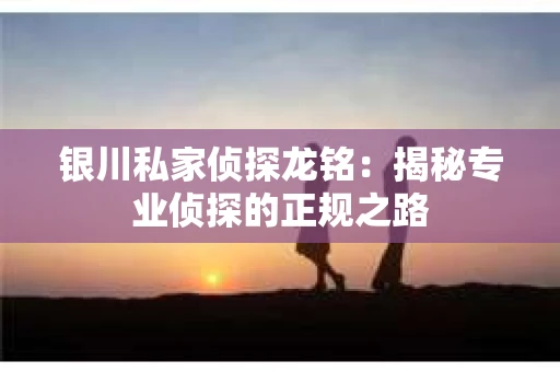 银川私家侦探龙铭：揭秘专业侦探的正规之路