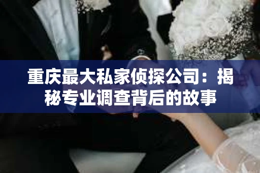 重庆最大私家侦探公司：揭秘专业调查背后的故事