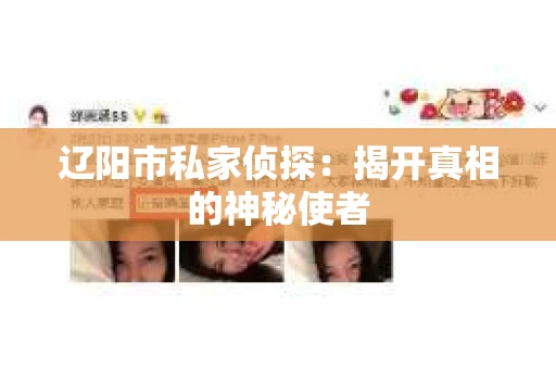 辽阳市私家侦探：揭开真相的神秘使者