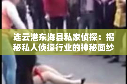 连云港东海县私家侦探：揭秘私人侦探行业的神秘面纱