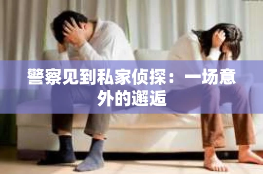 警察见到私家侦探：一场意外的邂逅