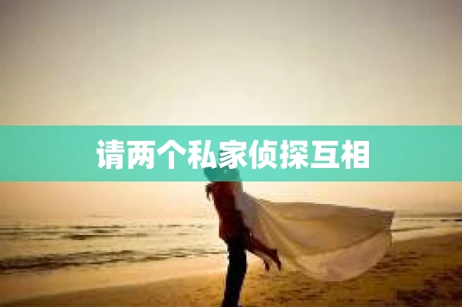 请两个私家侦探互相
