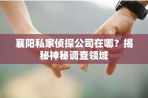 襄阳私家侦探公司在哪？揭秘神秘调查领域