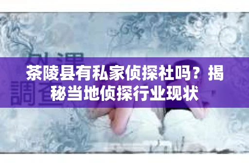 茶陵县有私家侦探社吗？揭秘当地侦探行业现状