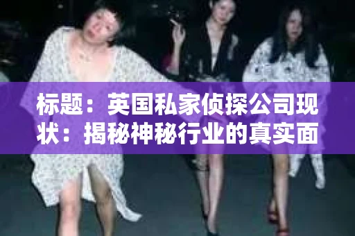 标题：英国私家侦探公司现状：揭秘神秘行业的真实面貌