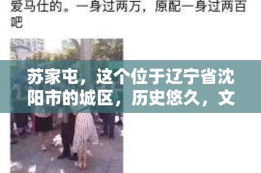 苏家屯，这个位于辽宁省沈阳市的城区，历史悠久，文化底蕴深厚。近年来，随着社会的发展，人们对于私家侦探的需求也逐渐增加。那么，苏家屯有私家侦探吗？今天，我们就来聊聊这个话题。