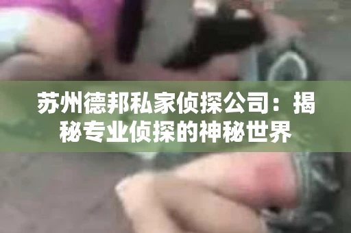 苏州德邦私家侦探公司：揭秘专业侦探的神秘世界