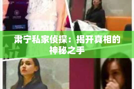 肃宁私家侦探：揭开真相的神秘之手