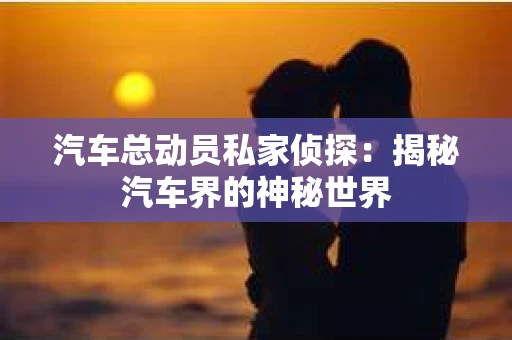 汽车总动员私家侦探：揭秘汽车界的神秘世界