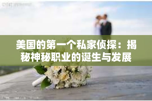 美国的第一个私家侦探：揭秘神秘职业的诞生与发展