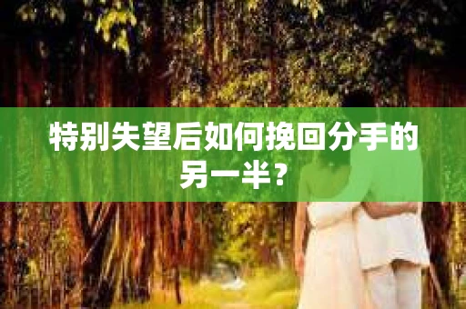 特别失望后如何挽回分手的另一半？