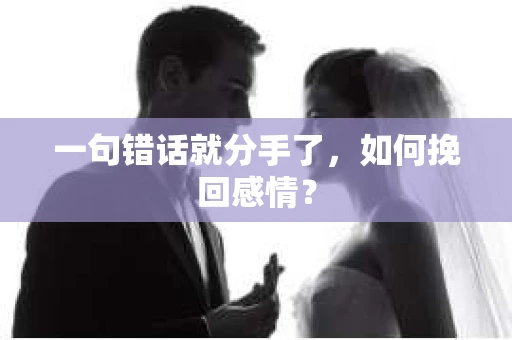 一句错话就分手了，如何挽回感情？