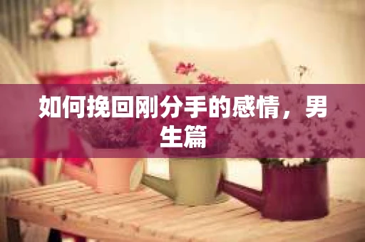 如何挽回刚分手的感情，男生篇