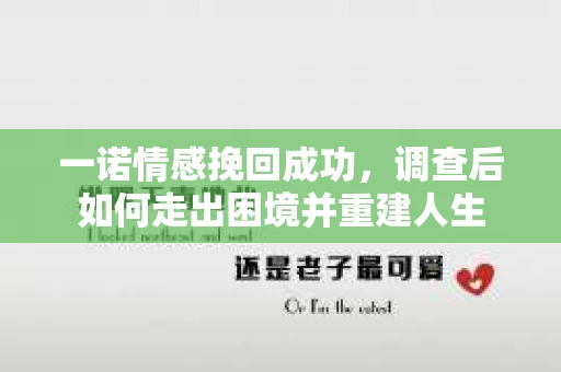 一诺情感挽回成功，调查后如何走出困境并重建人生