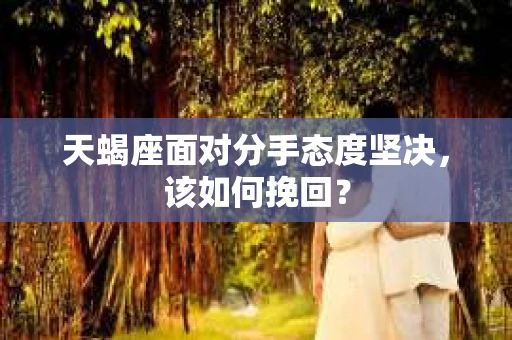 天蝎座面对分手态度坚决，该如何挽回？