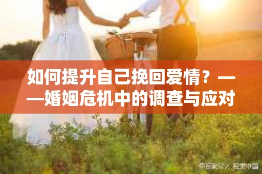 如何提升自己挽回爱情？——婚姻危机中的调查与应对策略