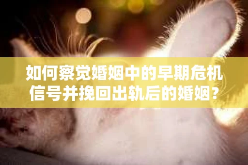 如何察觉婚姻中的早期危机信号并挽回出轨后的婚姻？